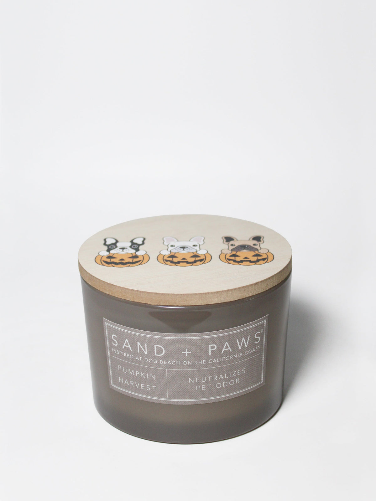 Cozy Sand + Paws Pumpkin Harvest 12 oz scented candle