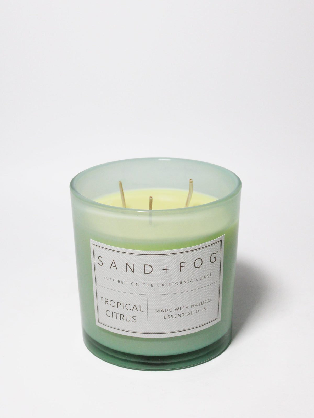 Cozy Tropical Citrus 21 oz scented candle