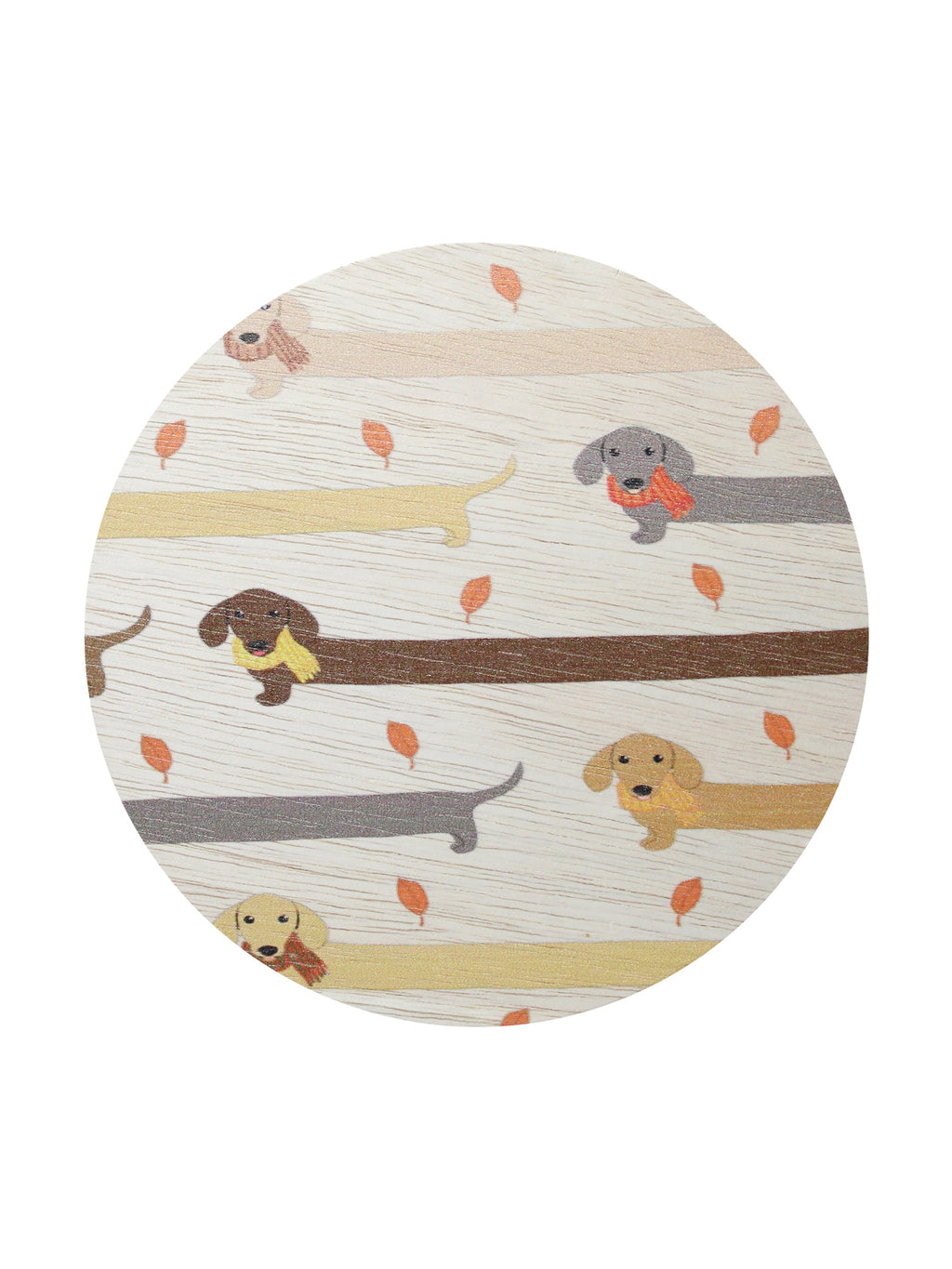 Cozy Sand + Paws Apple Cider 12 oz scented candle