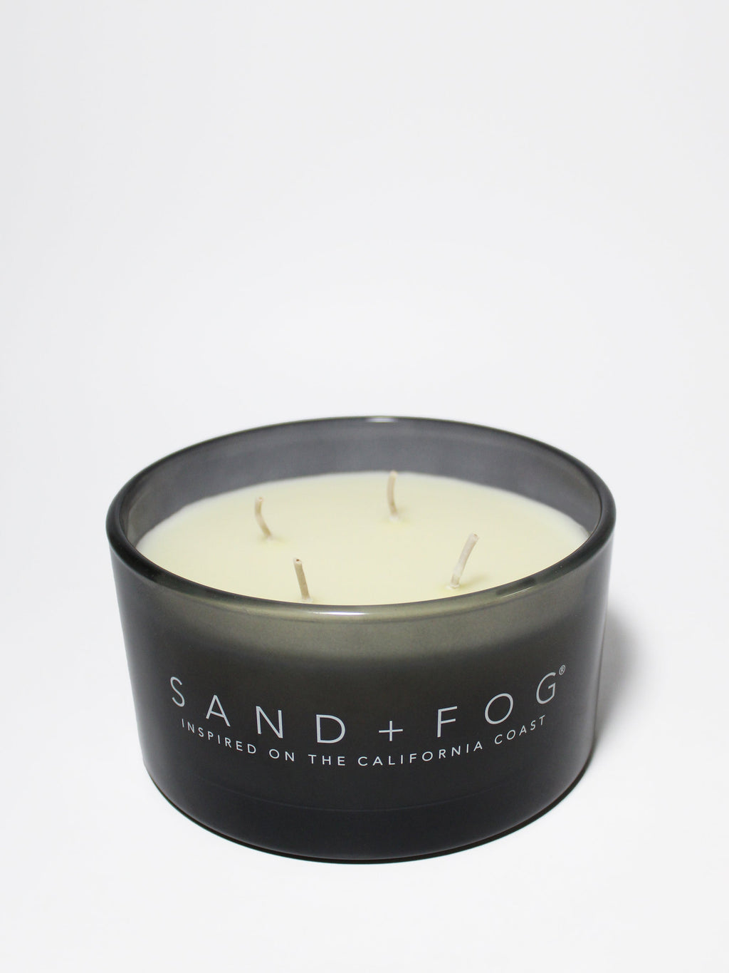 Cozy Fern & Moss 23 oz scented candle