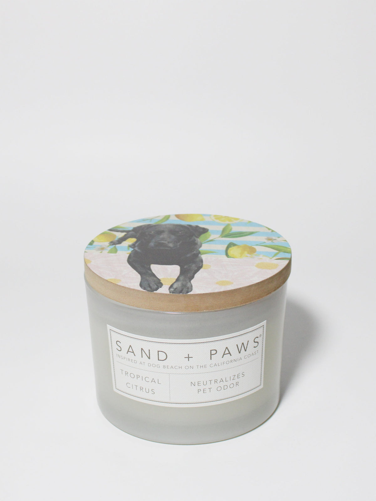 Cozy Sand + Paws Tropical Citrus 12 oz scented candle