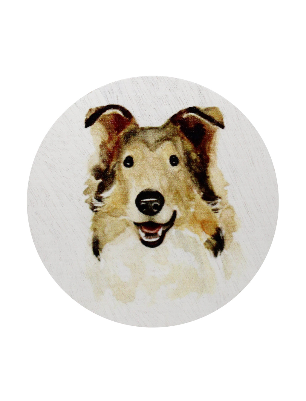 Cozy Sand + Paws Desert Rain 12 oz scented candle