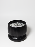 Cozy Speakeasy 10 oz scented candle