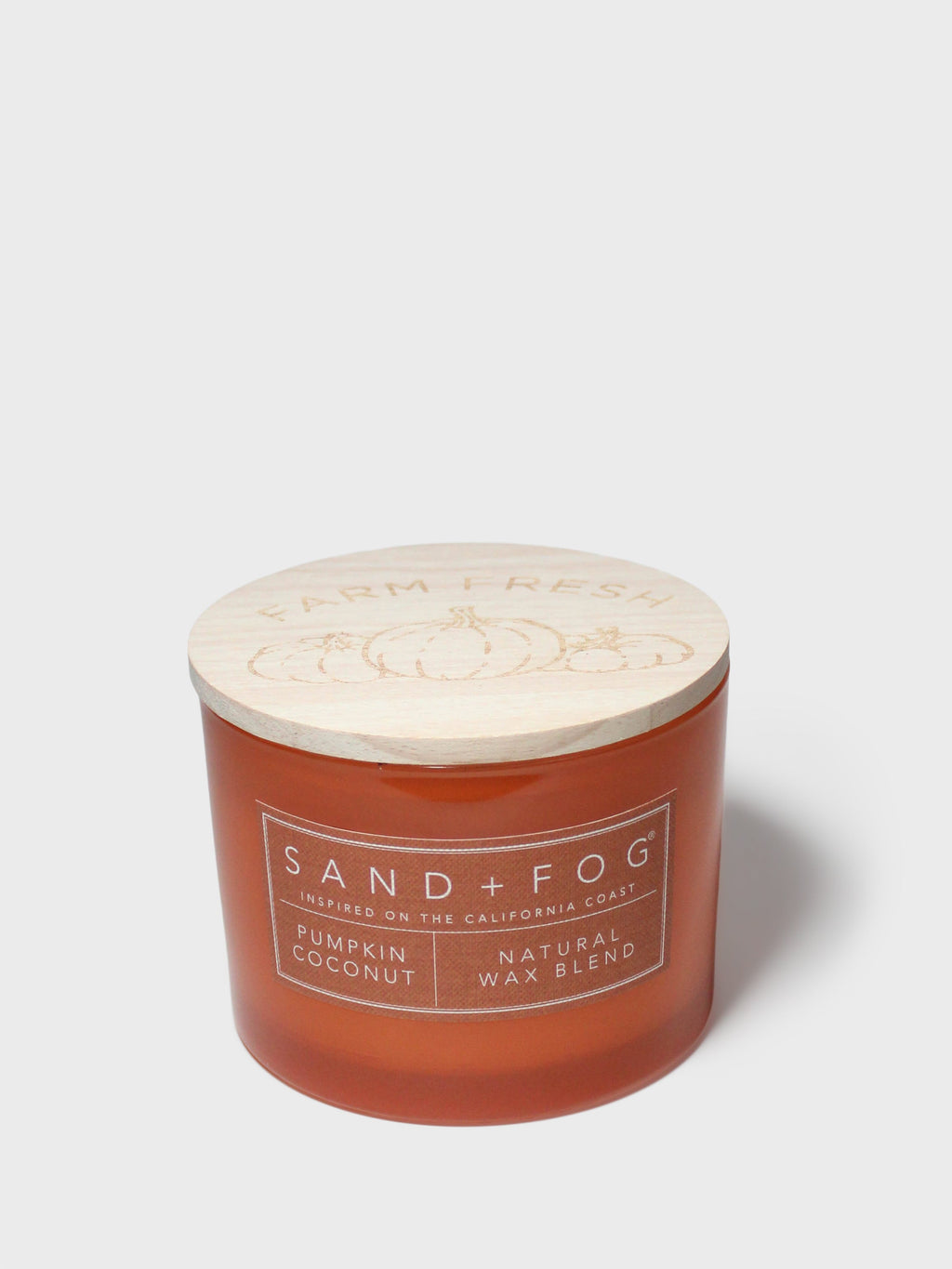 Cozy Pumpkin Coconut 12 oz scented candle