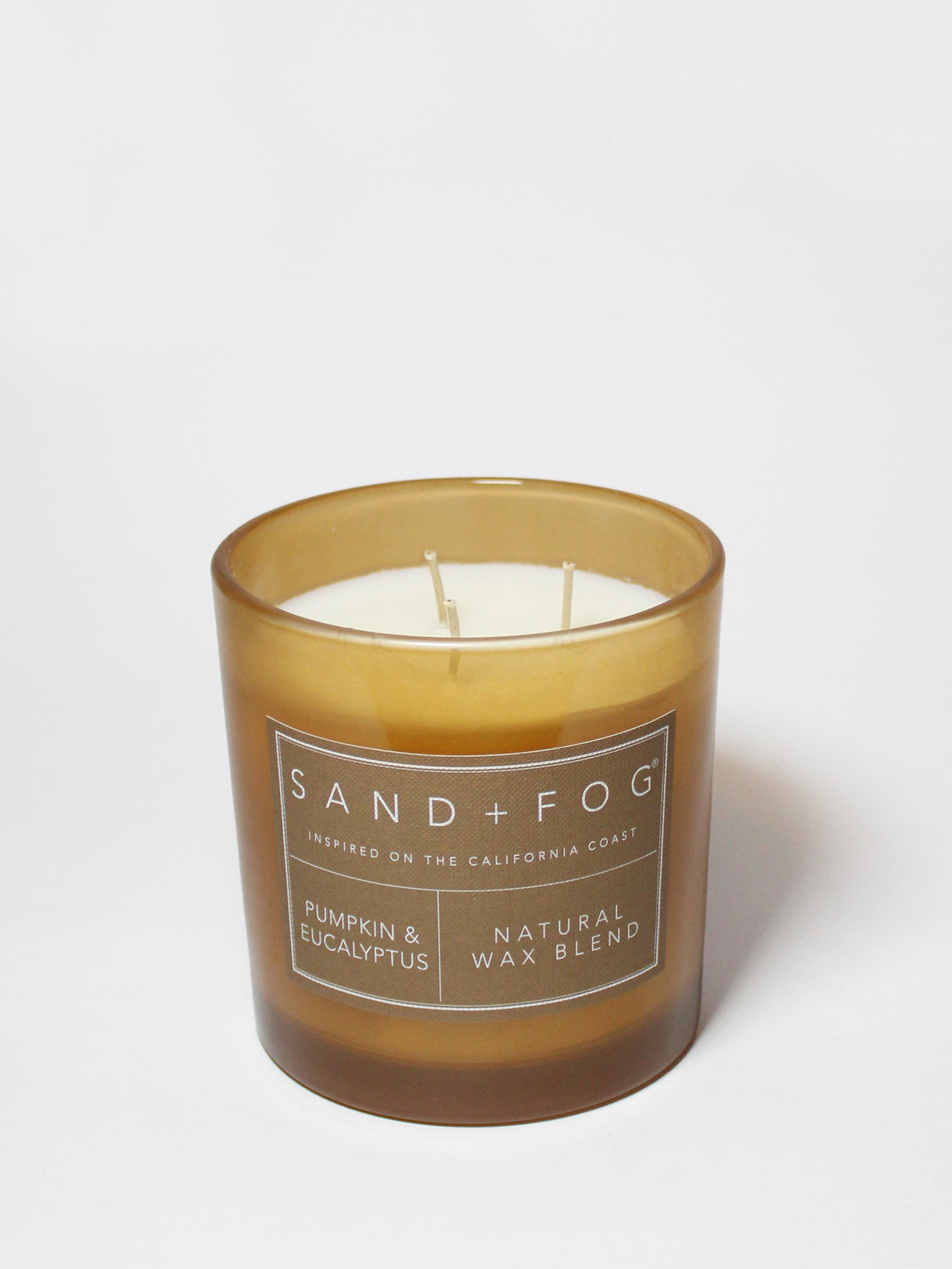 Cozy Pumpkin & Eucalyptus 21 oz scented candle