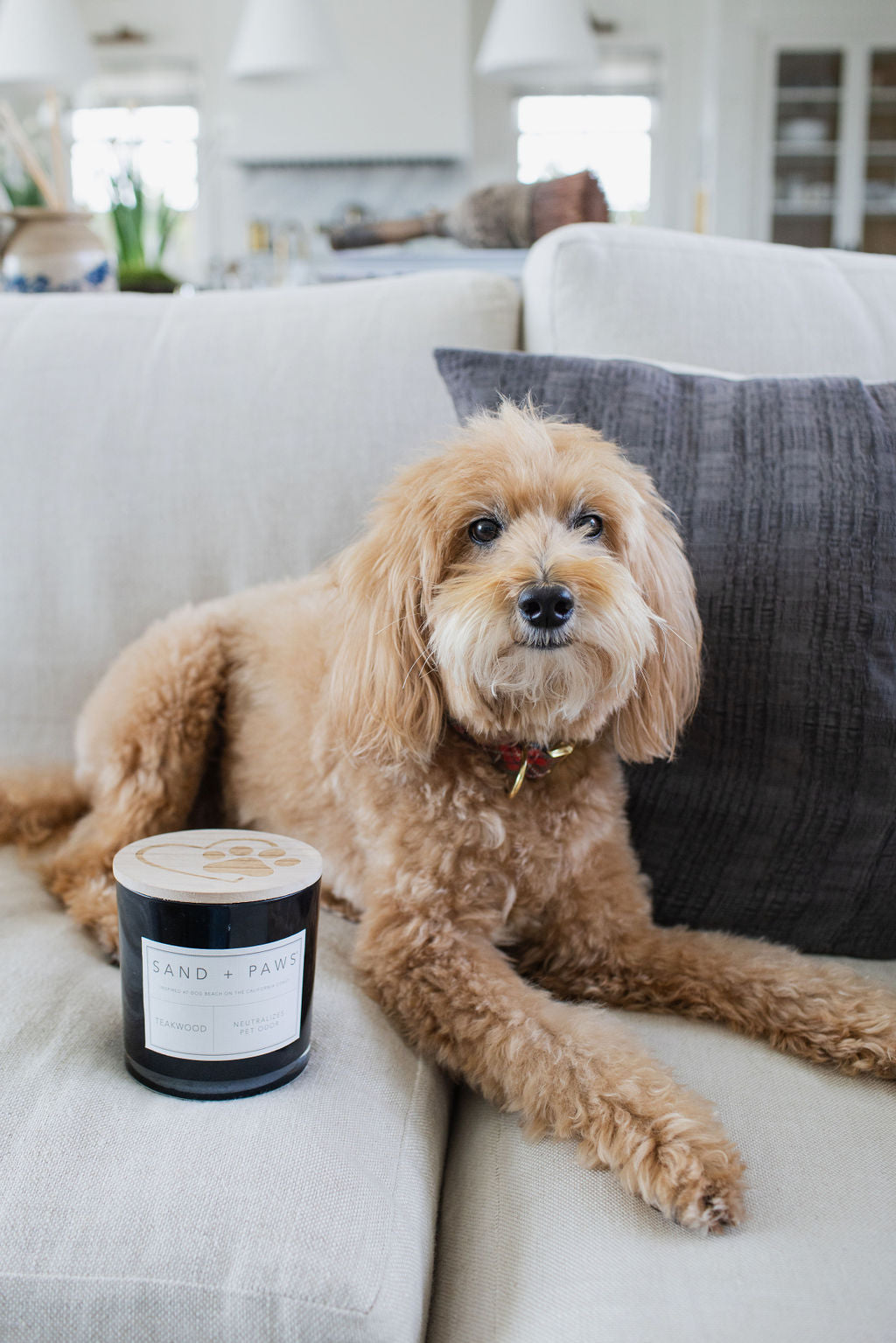 Cozy Sand + Paws Teakwood 21 oz scented candle