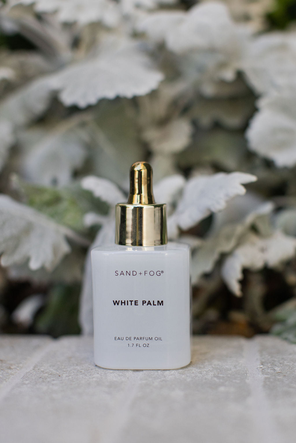 Signature White Palm 50 ml Perfume Oil Dropper
