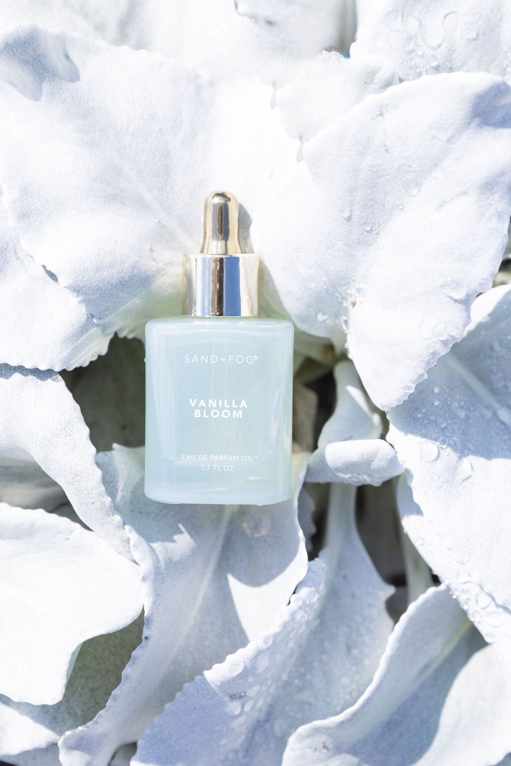 Signature Vanilla Bloom 50 ml Perfume Oil Dropper