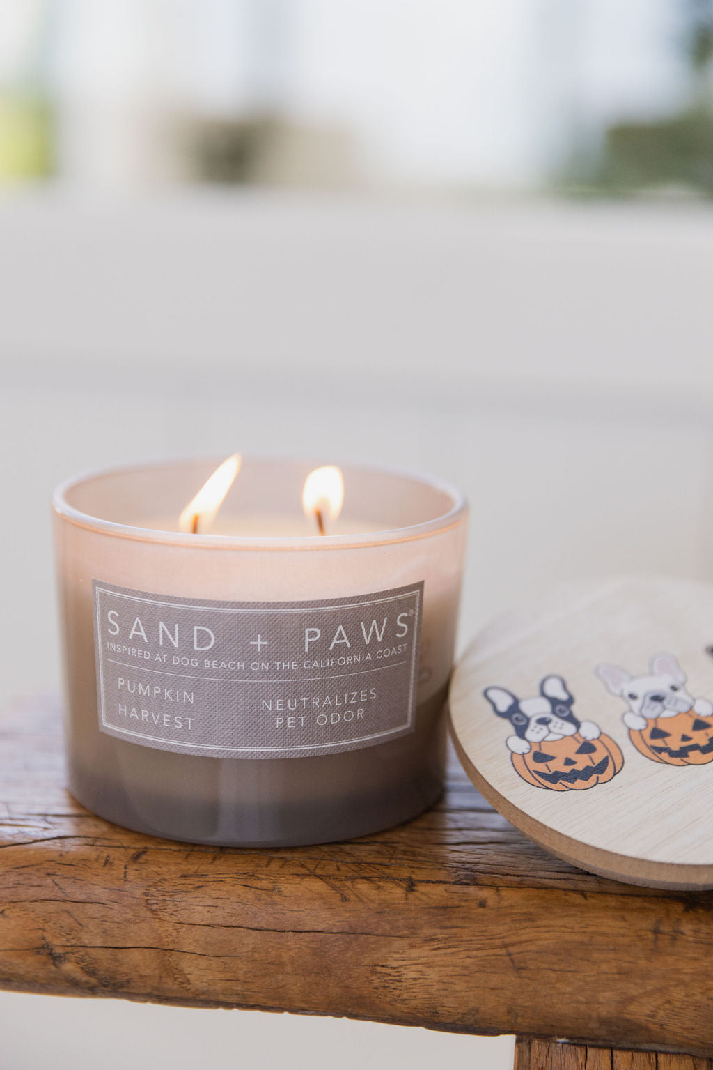 Cozy Sand + Paws Pumpkin Harvest 12 oz scented candle