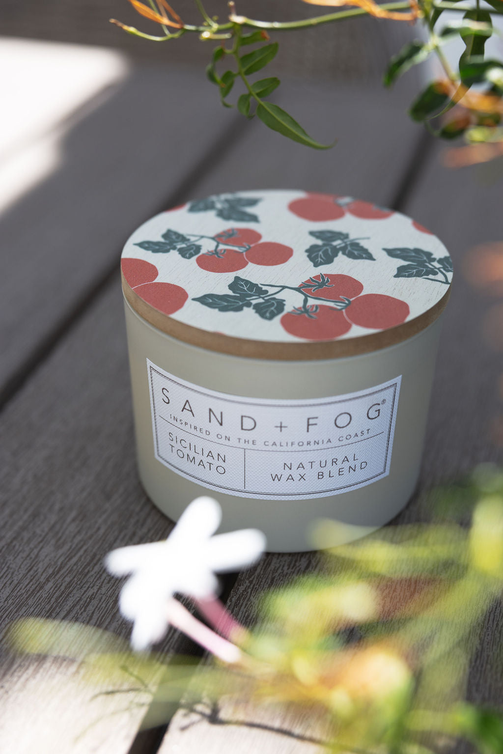 Cozy Sicilian Tomato 12 oz scented candle