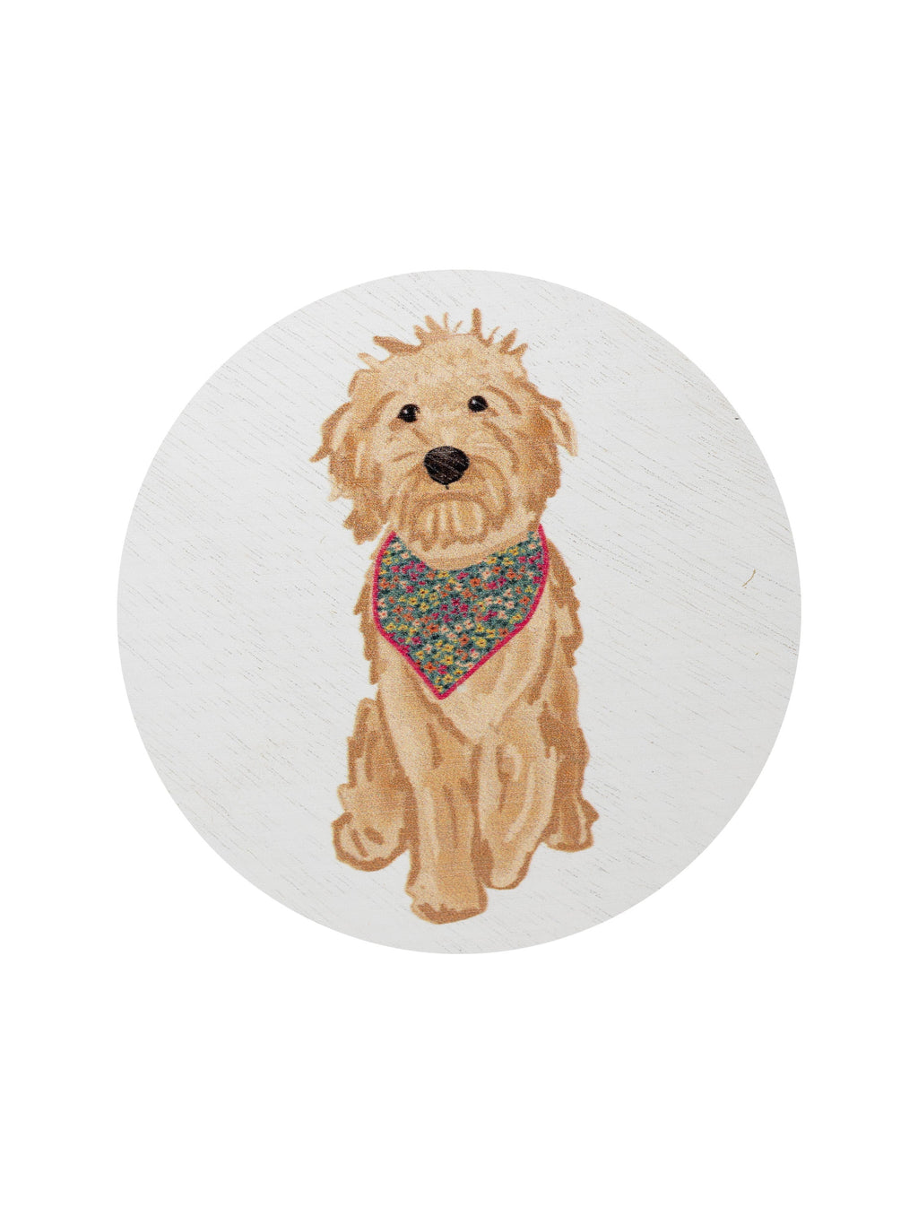 Cozy Sand + Paws Laundry Day 12 oz scented candle