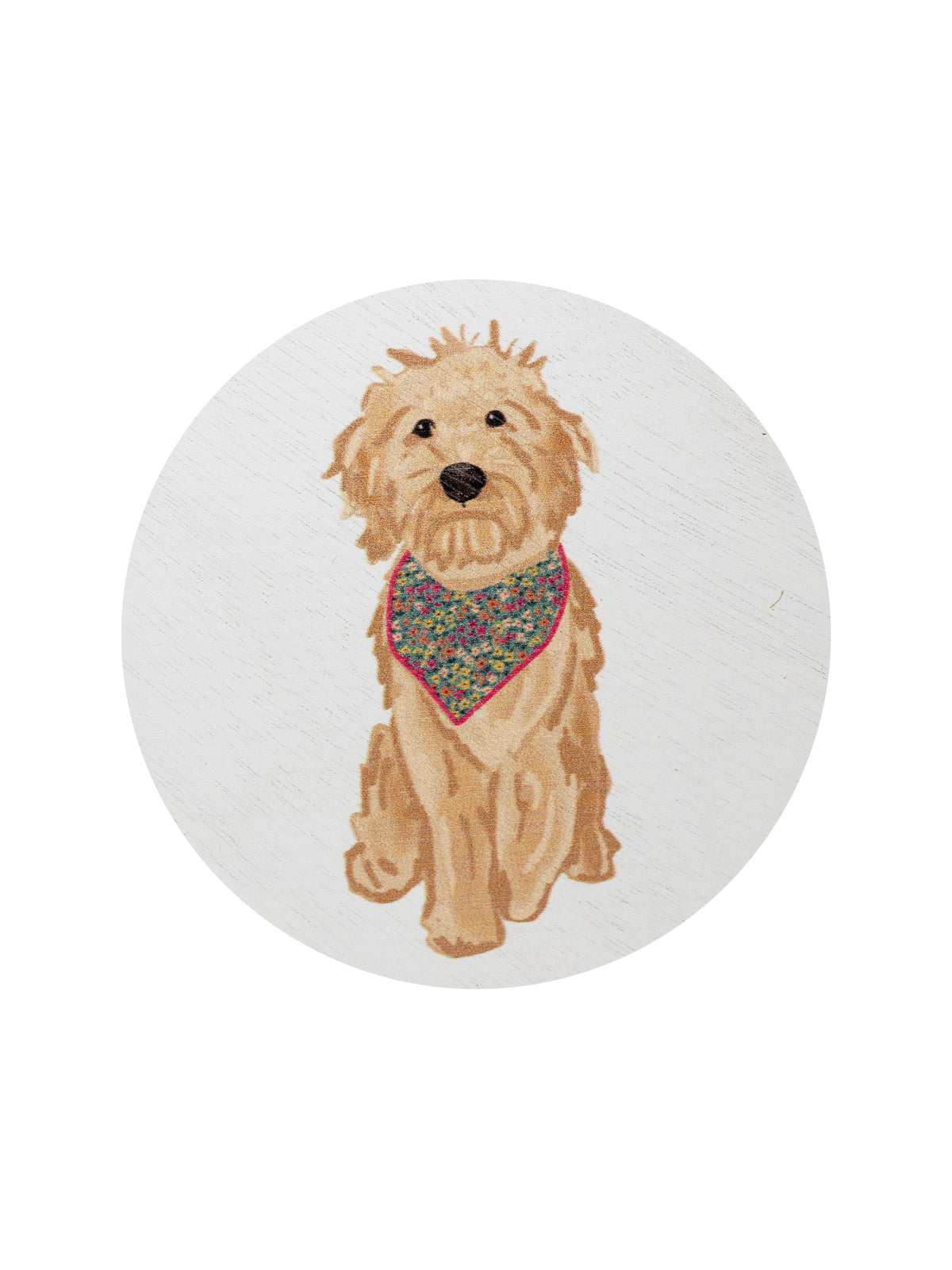 Cozy Sand + Paws Laundry Day 12 oz scented candle