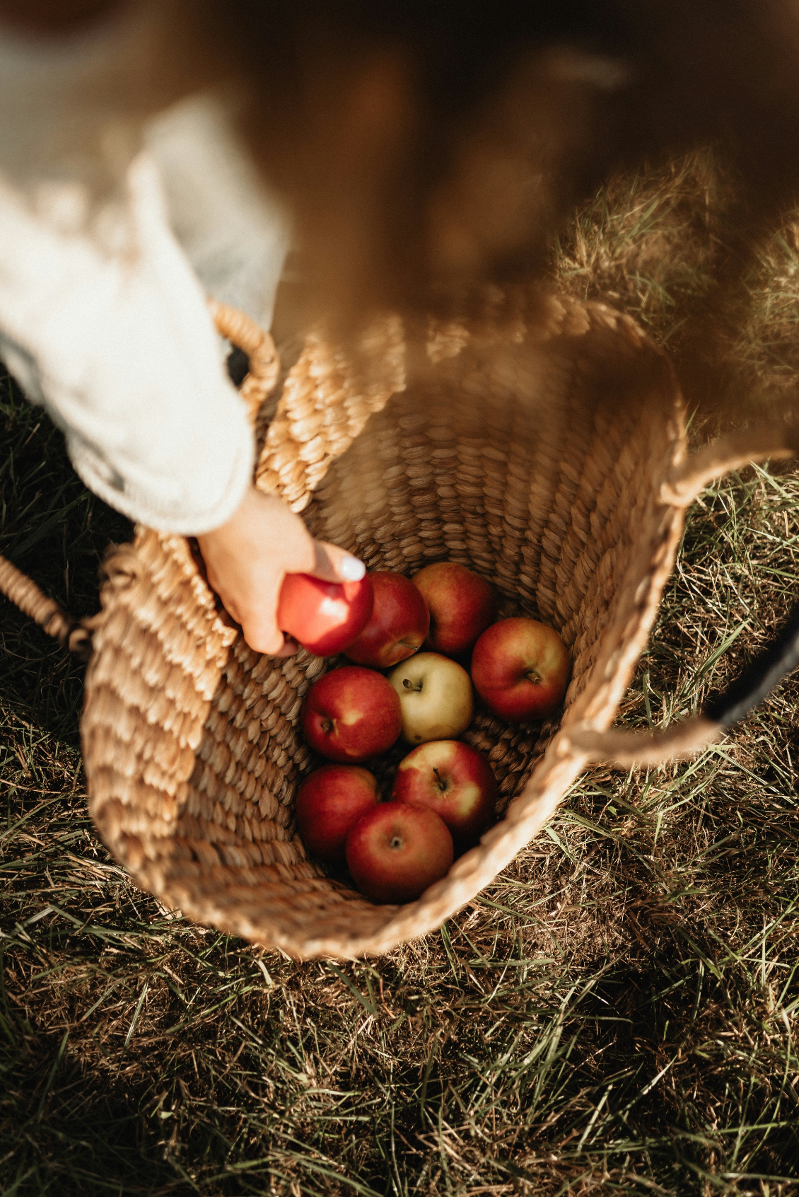 Cozy Apple Picking 12 oz scented candle