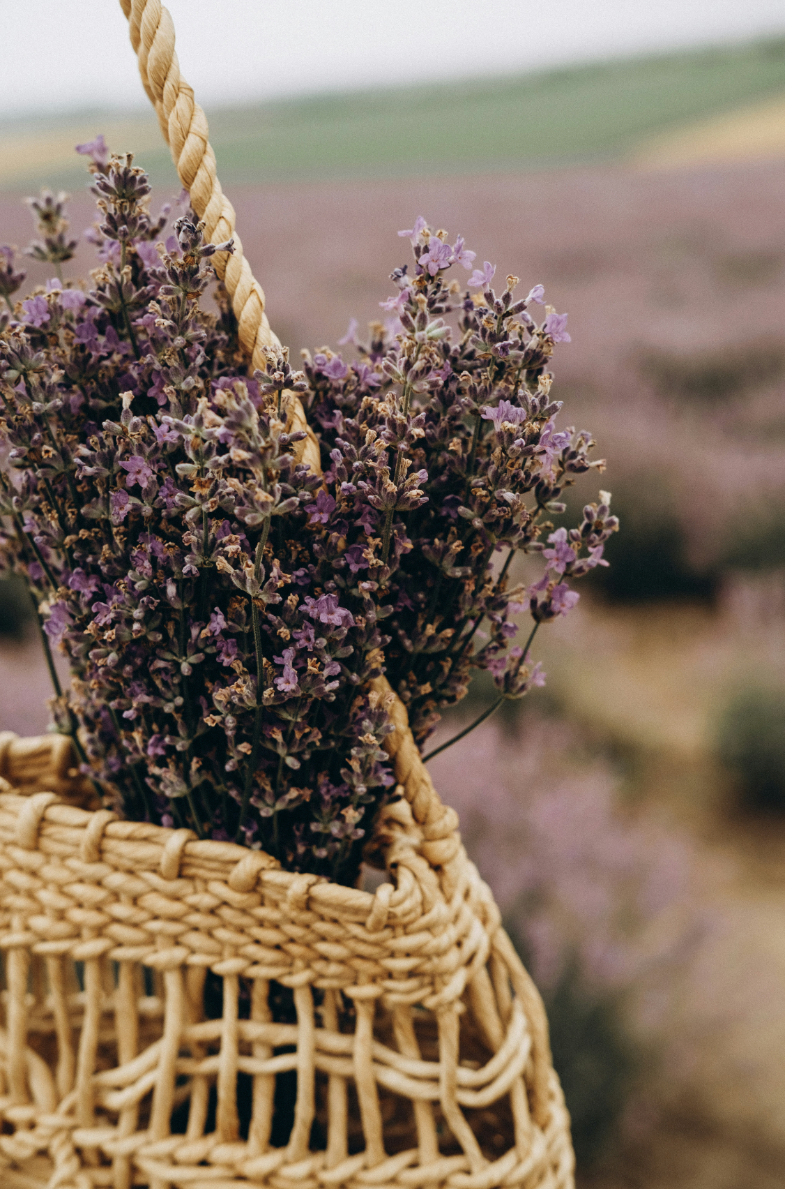 Refreshing Cedar & Lavender 100 ml Room Spray