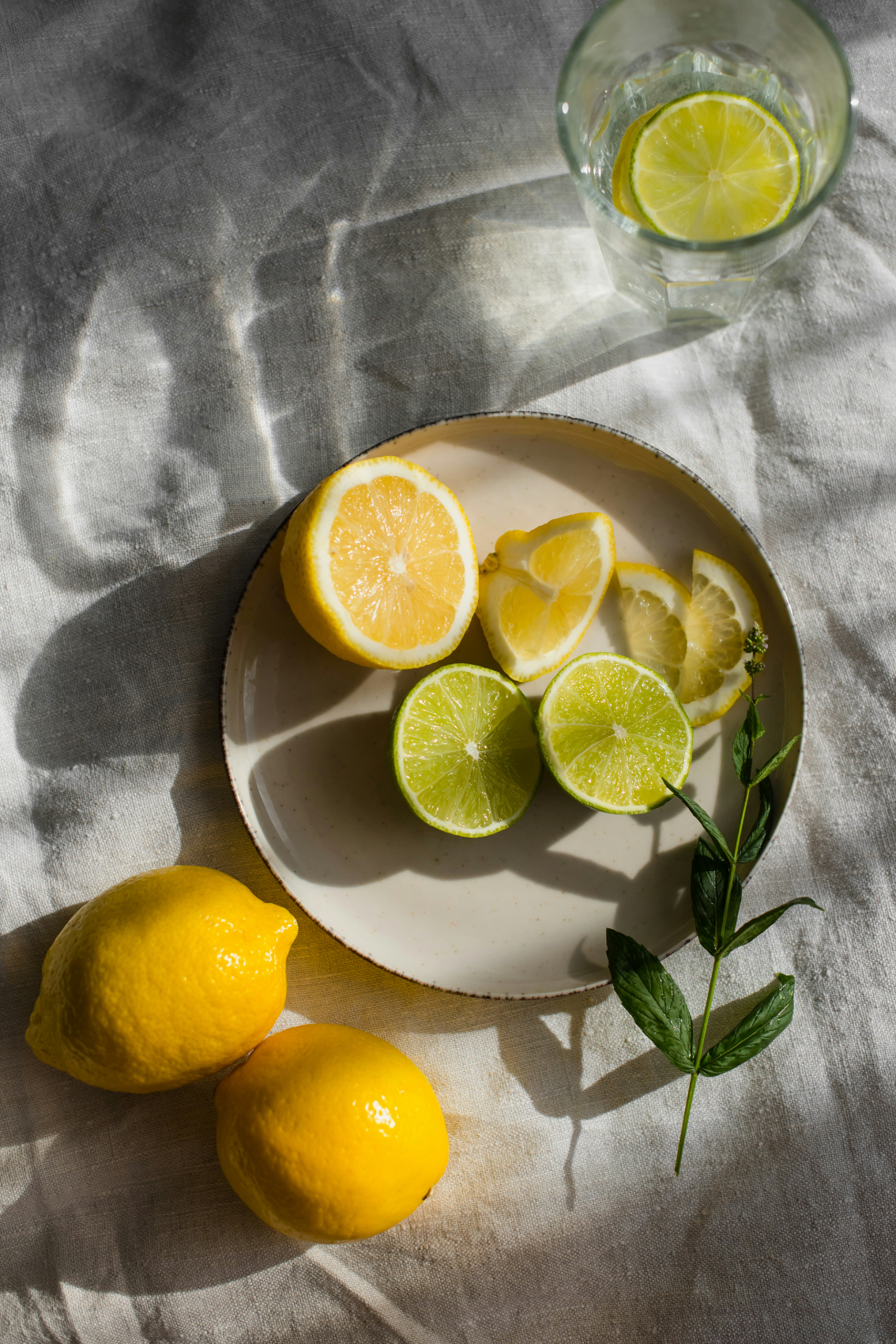 Cozy Sand + Paws Limoncello 12 oz scented candle