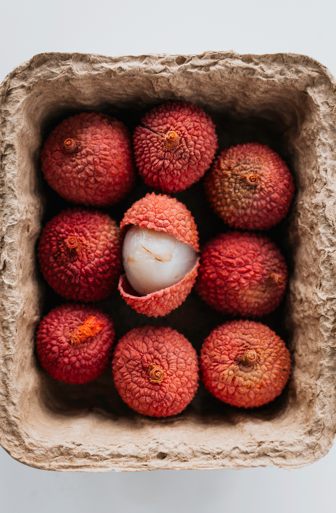 Cozy Lychee & Currant 12 oz scented candle