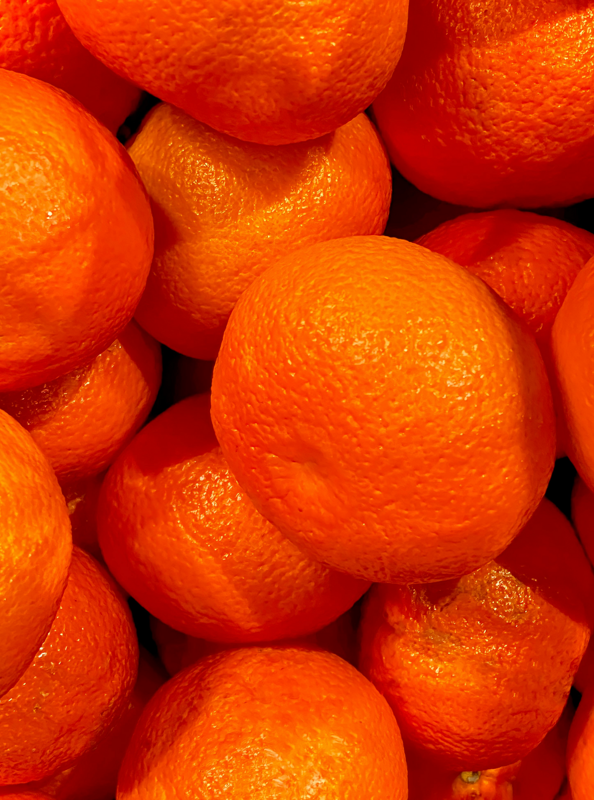 Cozy Mango & Sweet Tangerine 10 oz scented candle