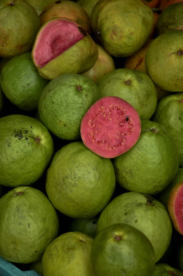 Cozy Paradise Guava 12 oz scented candle