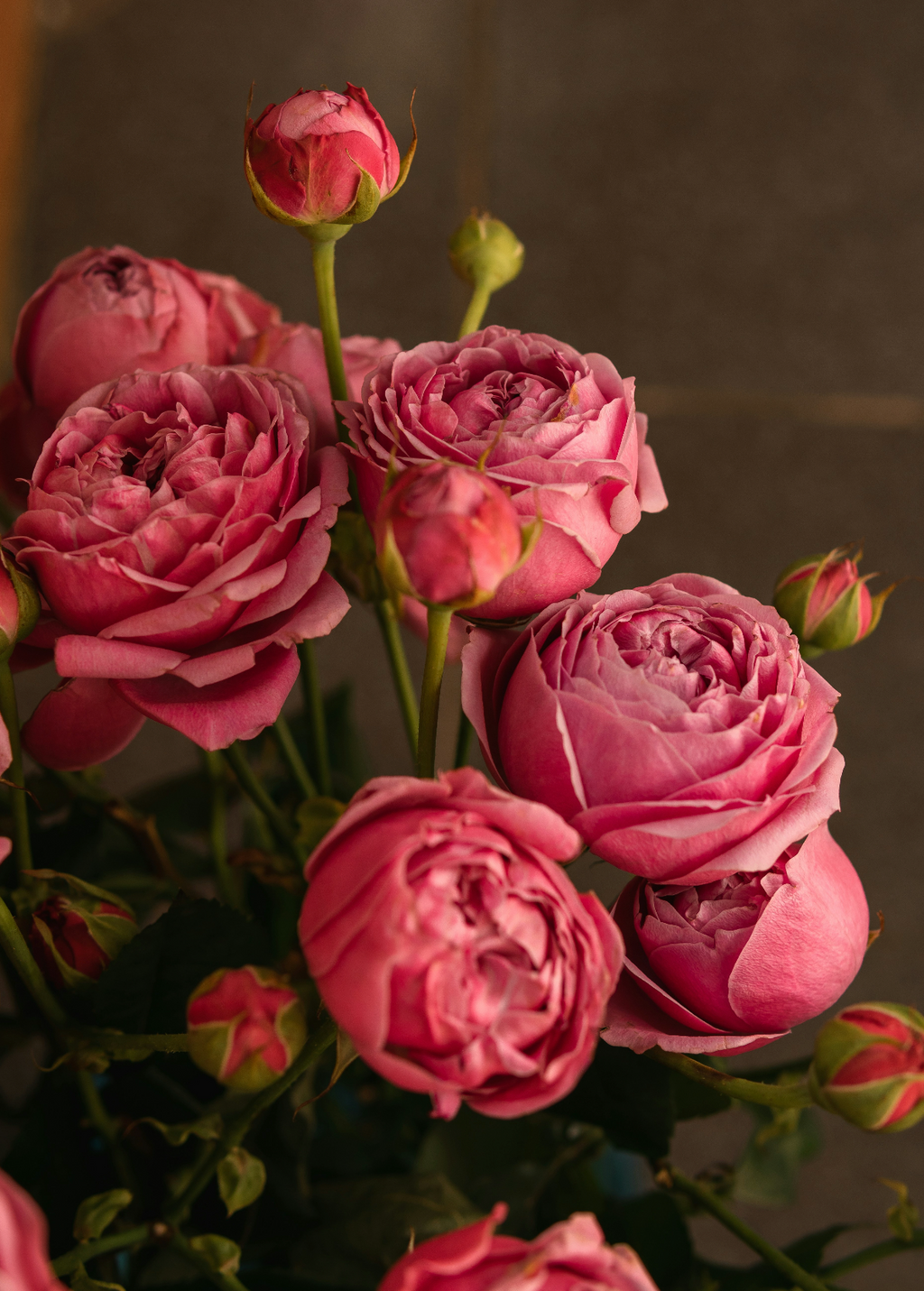 Signature Rose & Peony 50 ml Perfume Oil Dropper