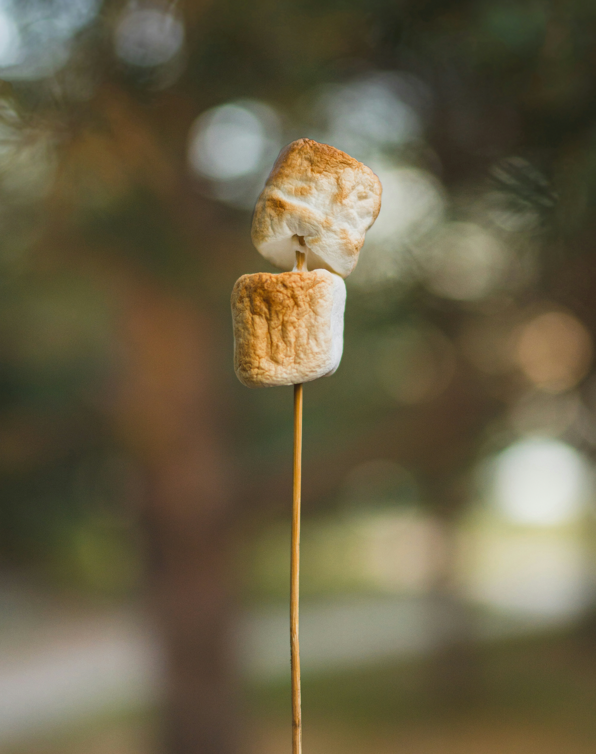 Signature Toasted Marshmallow 50ml Perfume Oil Dropper