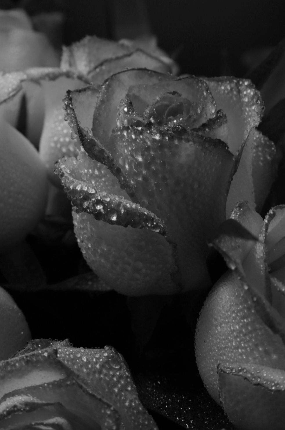 Signature Rose Dew 50ml Perfume Oil Dropper