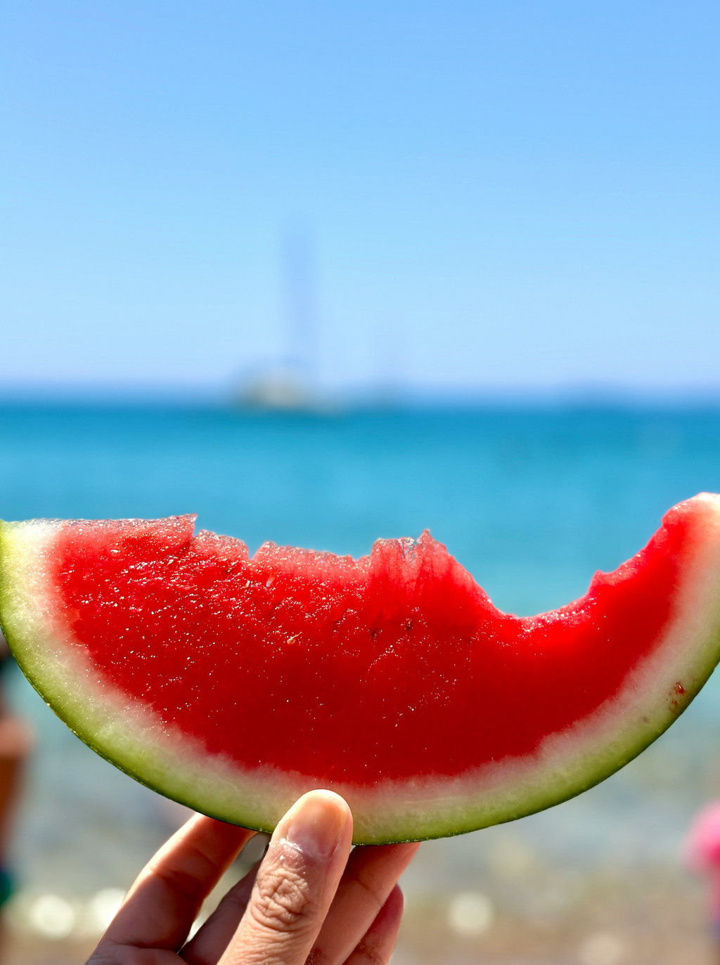 Cozy Watermelon Breeze 10 oz scented candle
