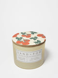 Cozy Sicilian Tomato 12 oz scented candle