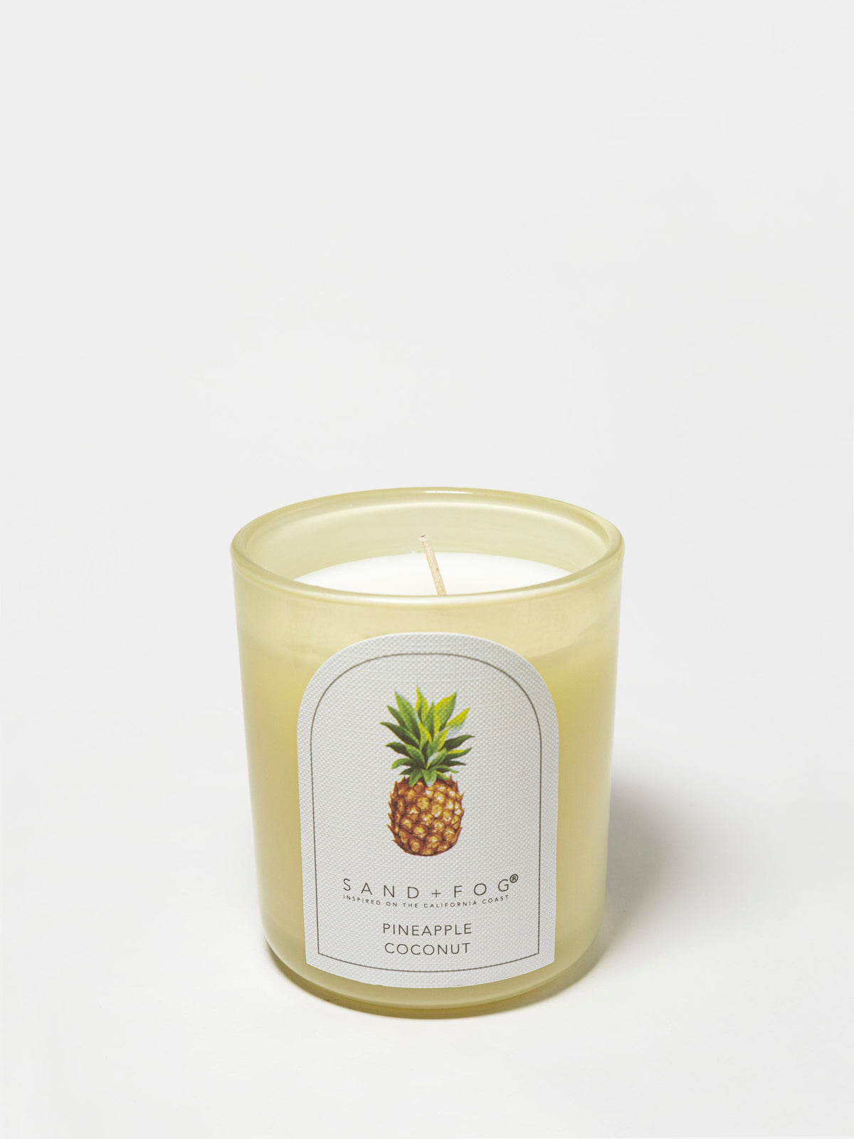 Cozy Pineapple Coconut 10 oz scented candle