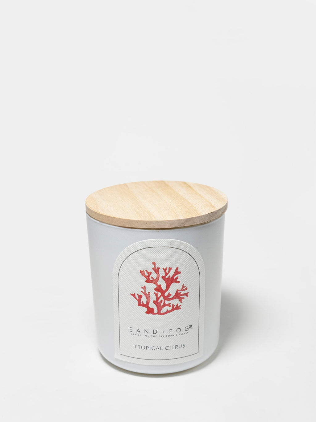 Cozy Tropical Citrus 10 oz scented candle
