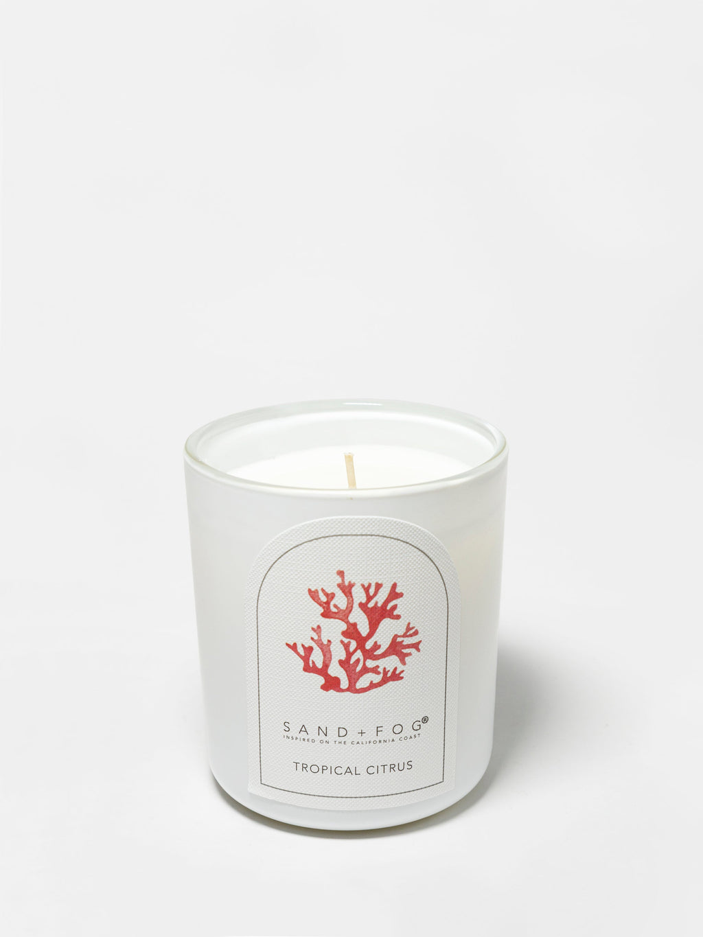 Cozy Tropical Citrus 10 oz scented candle