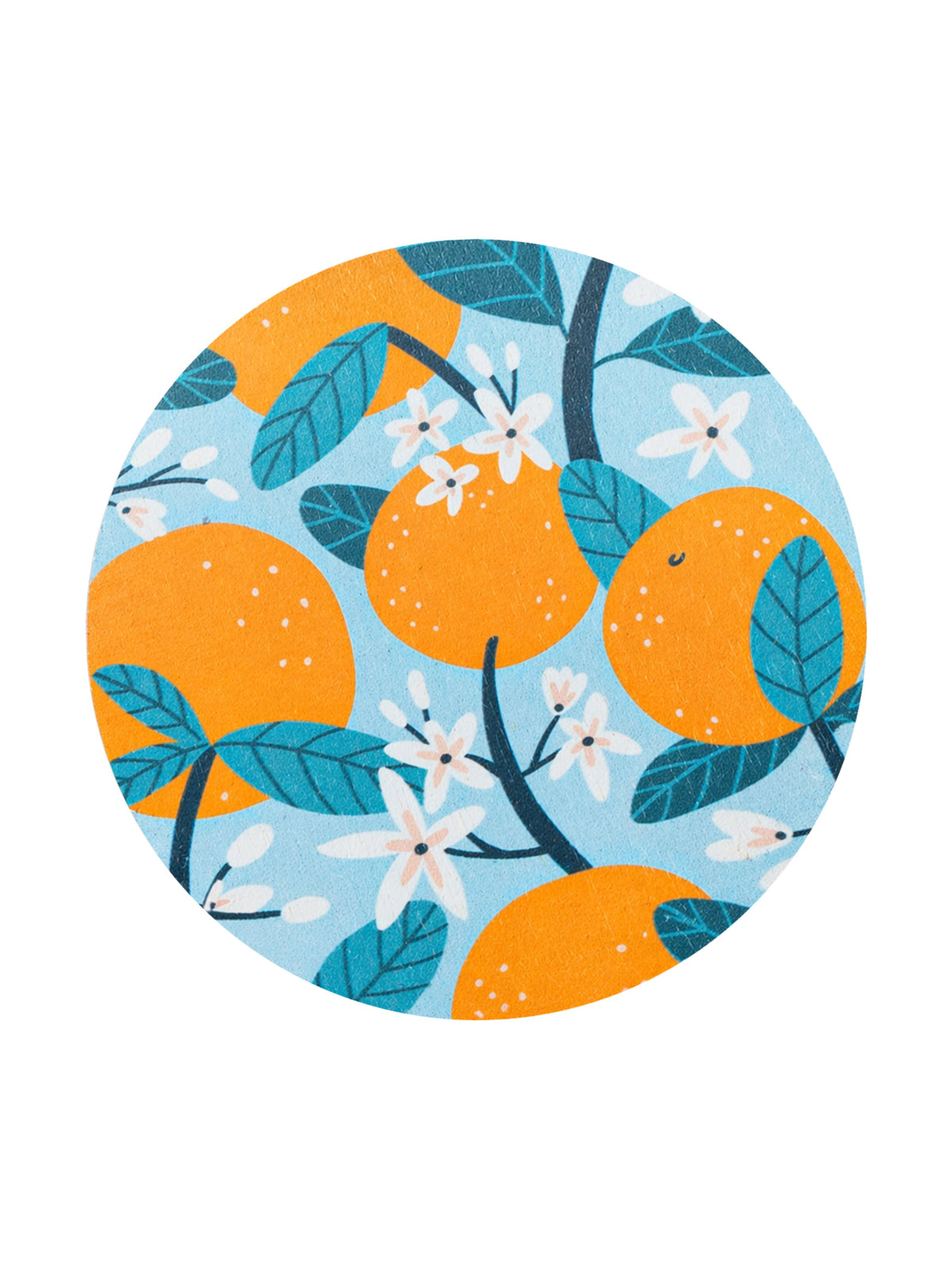 Cozy Orange Vanilla 12 oz scented candle
