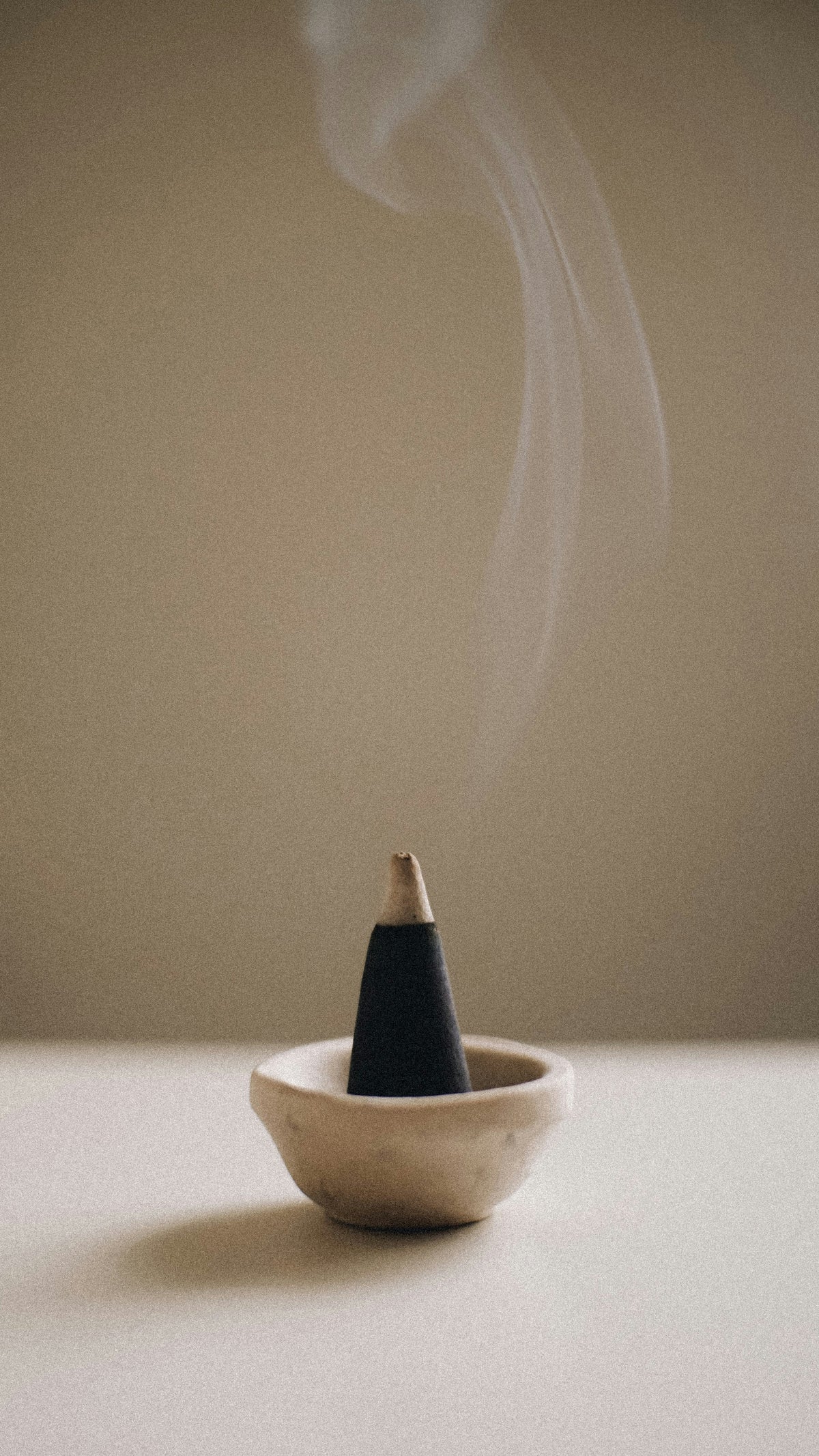 Cozy Saddle & Cardamom 12 oz scented candle