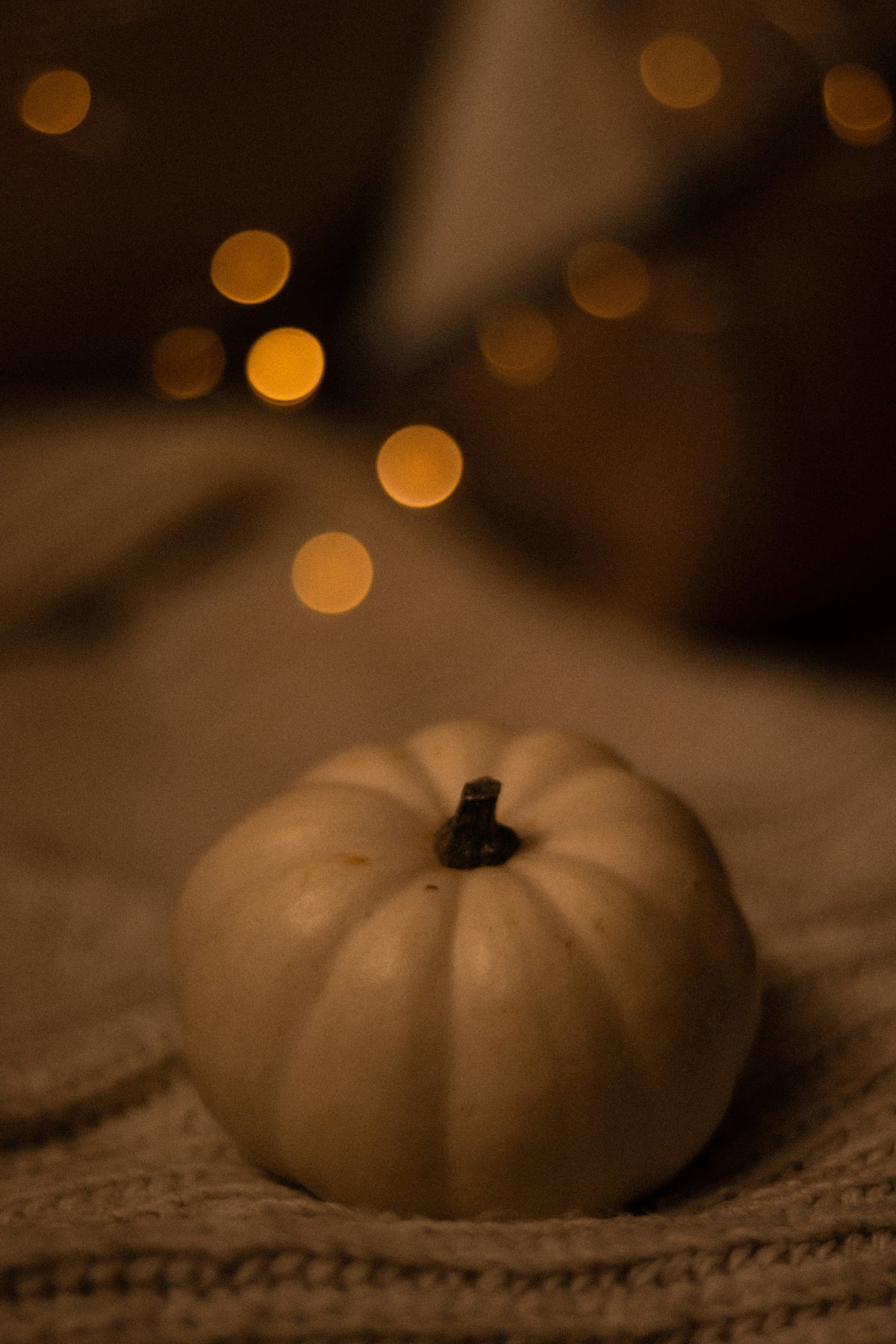Cozy Sand + Paws Pumpkin & Vanilla 12 oz scented candle